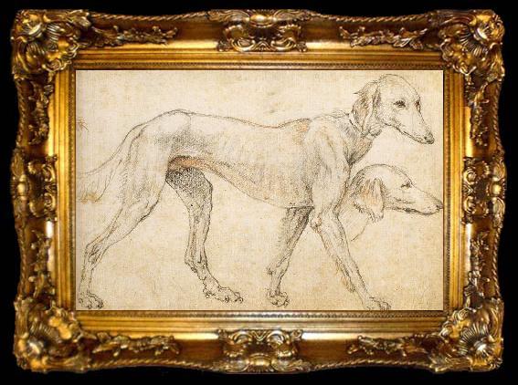 framed  ZUCCARO Federico Studies of a Greyhound, ta009-2